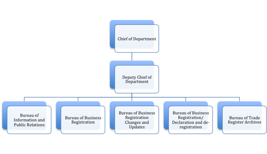 Organizational Chart For Sole Proprietorship